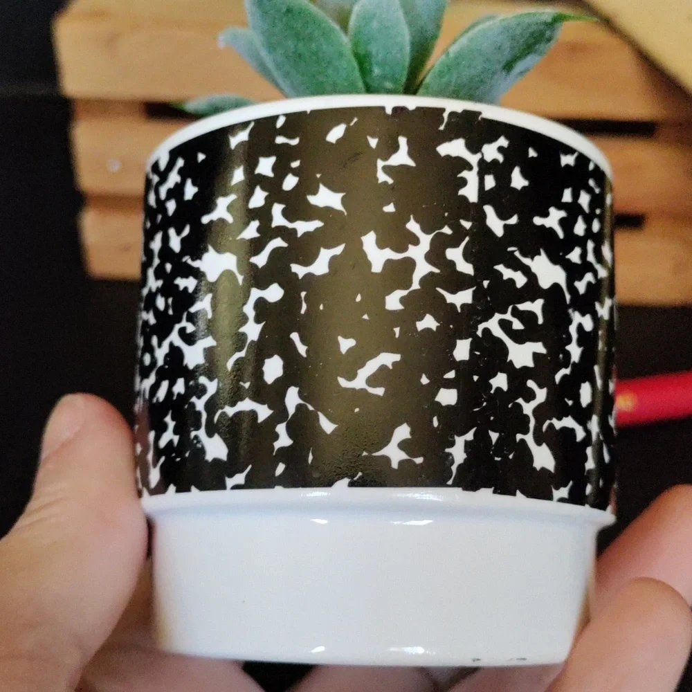 Planter for teacher with faux succulent - Picture 3 of 10